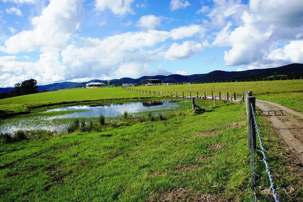 R & R Property - Real Estate Bulahdelah | 78 Stroud St, Bulahdelah NSW 2423, Australia | Phone: (02) 4997 4325