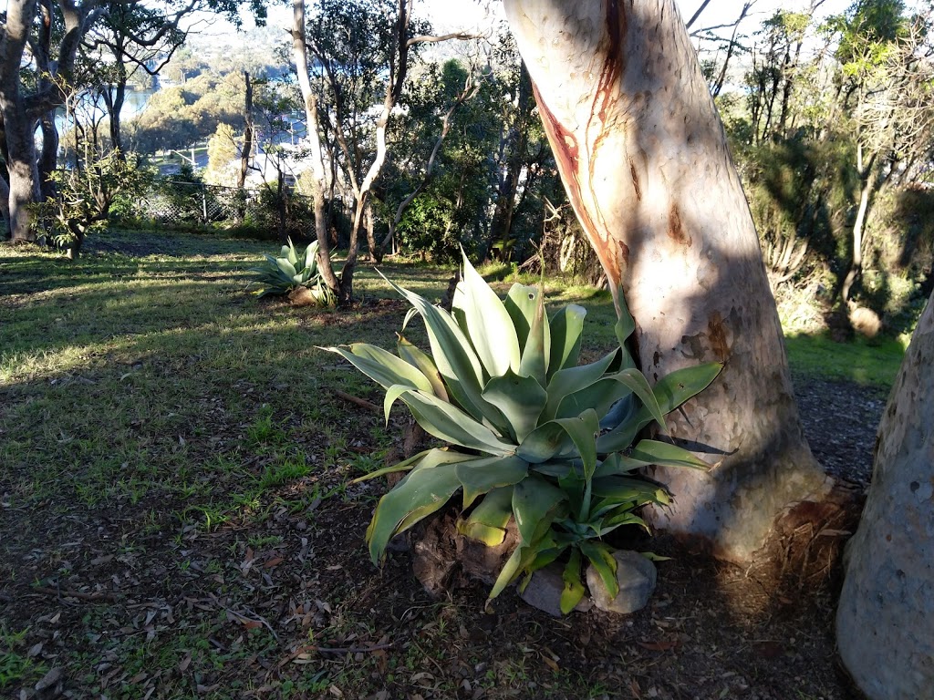 Alleyne Avenue Lookout Reserve | 73 Alleyne Ave, North Narrabeen NSW 2101, Australia