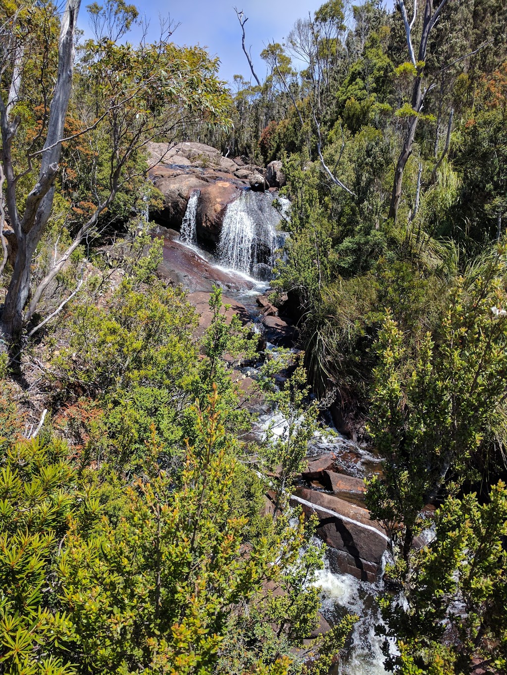 Hartz Mountains National Park | Raminea TAS 7001, Australia | Phone: (03) 6264 8460