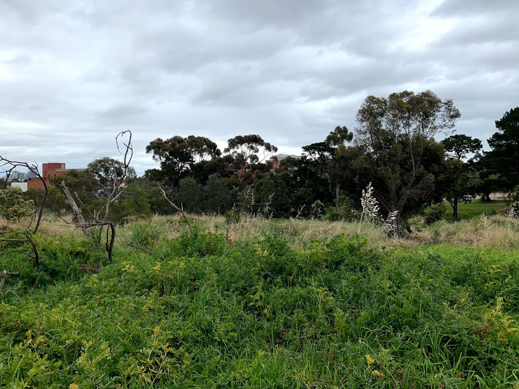 Melbourne Royal Park Whites Skink Habitat | Parkville VIC 3052, Australia