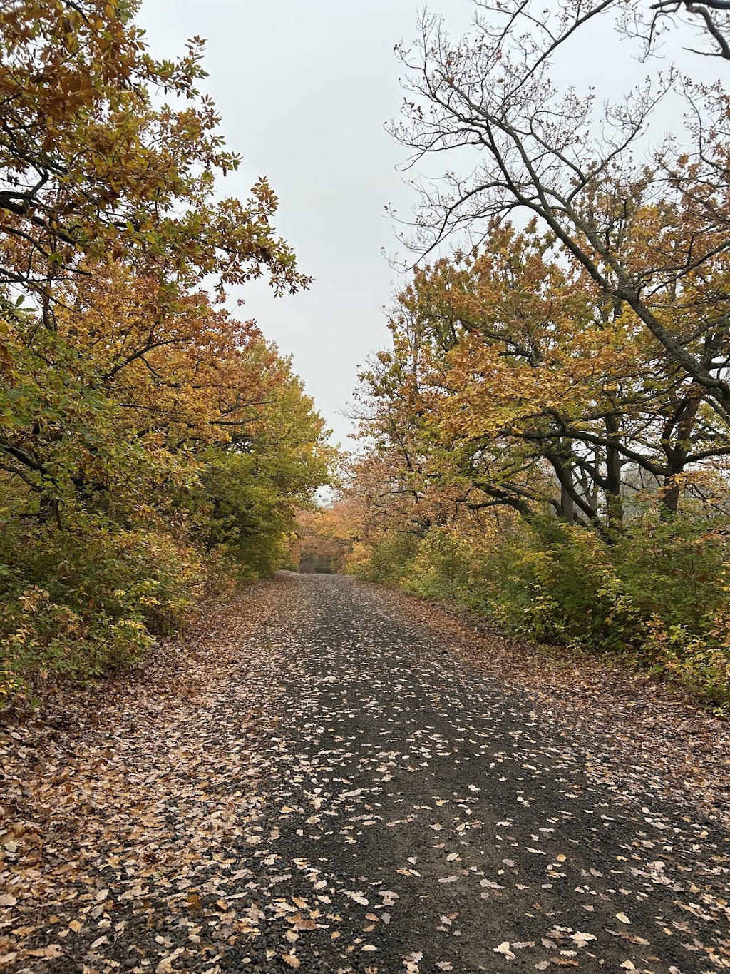 Create Retreats Harcourt | 117 Harmony Way, Harcourt VIC 3453, Australia | Phone: 0422 976 439