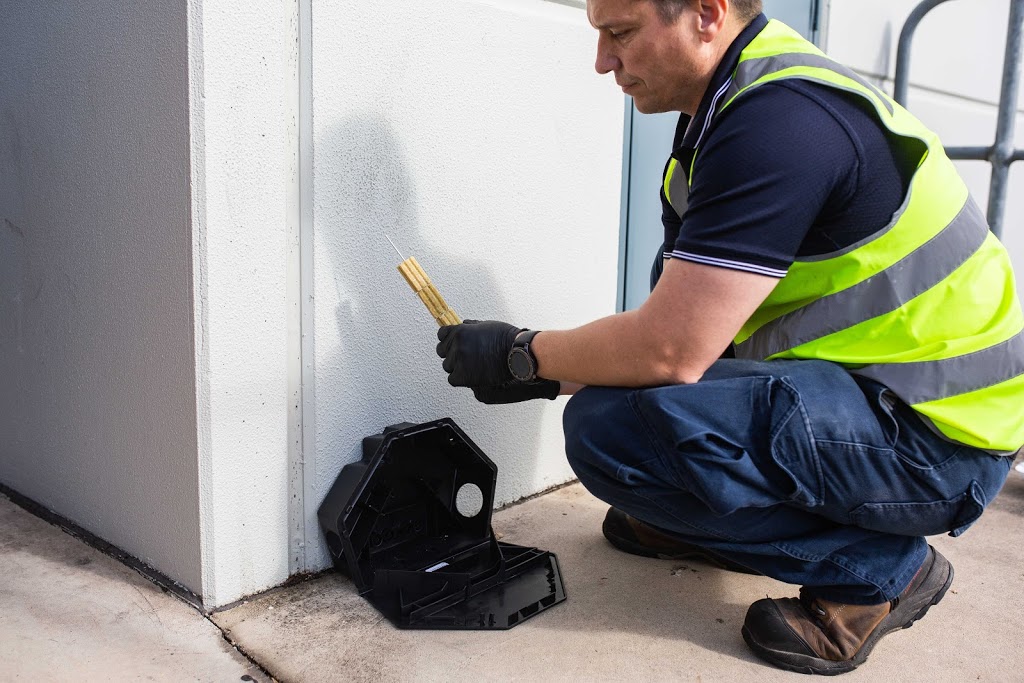 Flick Pest Control South Coast | 2/15 Miall Way, Albion Park Rail NSW 2527, Australia | Phone: (02) 4203 3900