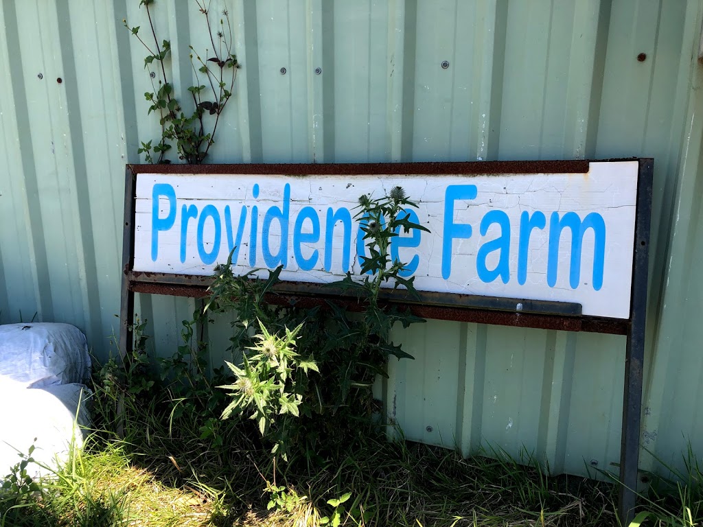 Providence Farm | 1428 Beechmont Rd, Beechmont QLD 4211, Australia | Phone: 0419 737 295