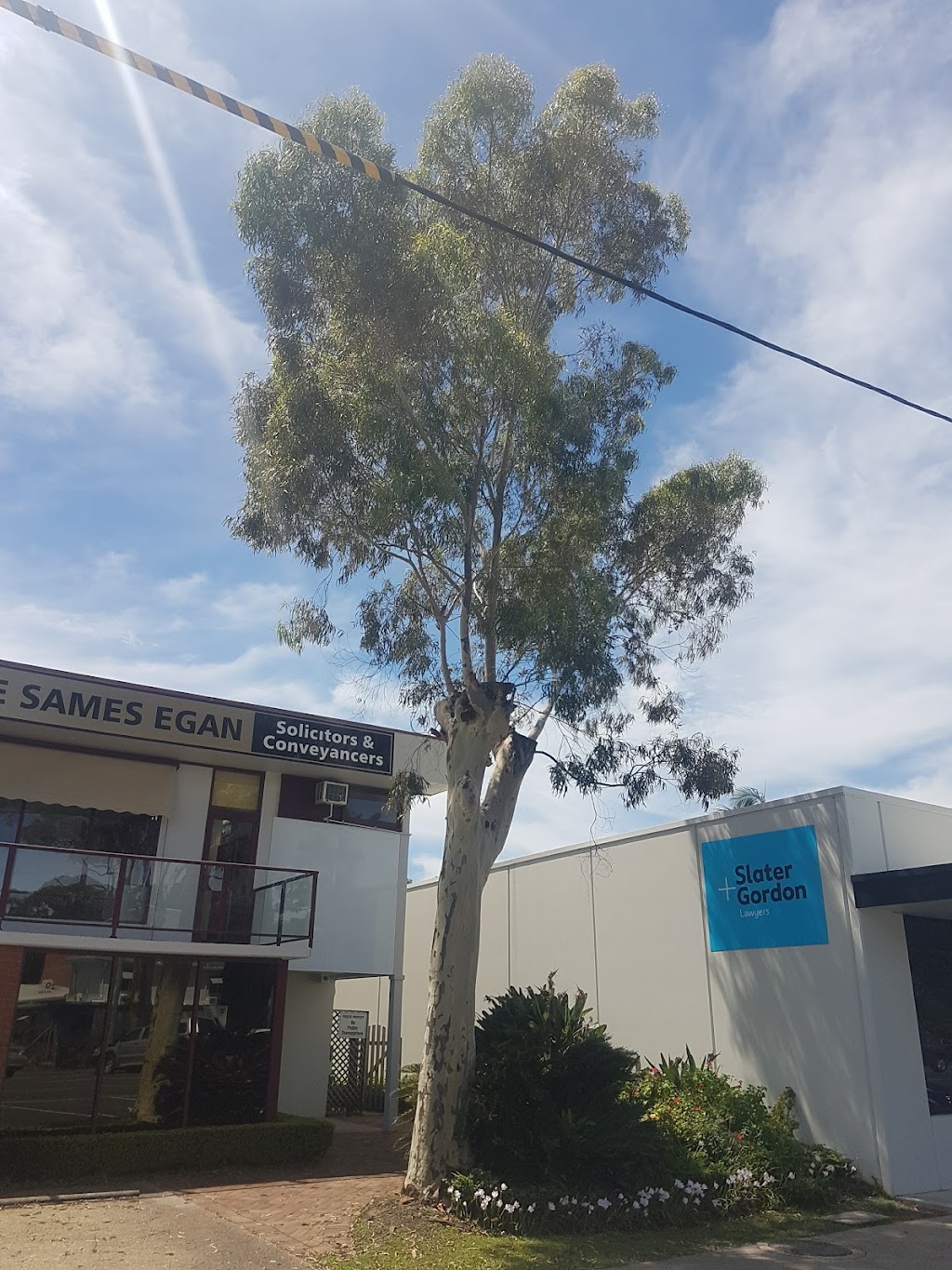 Alpha tree service | 10 Blue Luben Cl, Korora NSW 2450, Australia | Phone: 0467 168 194