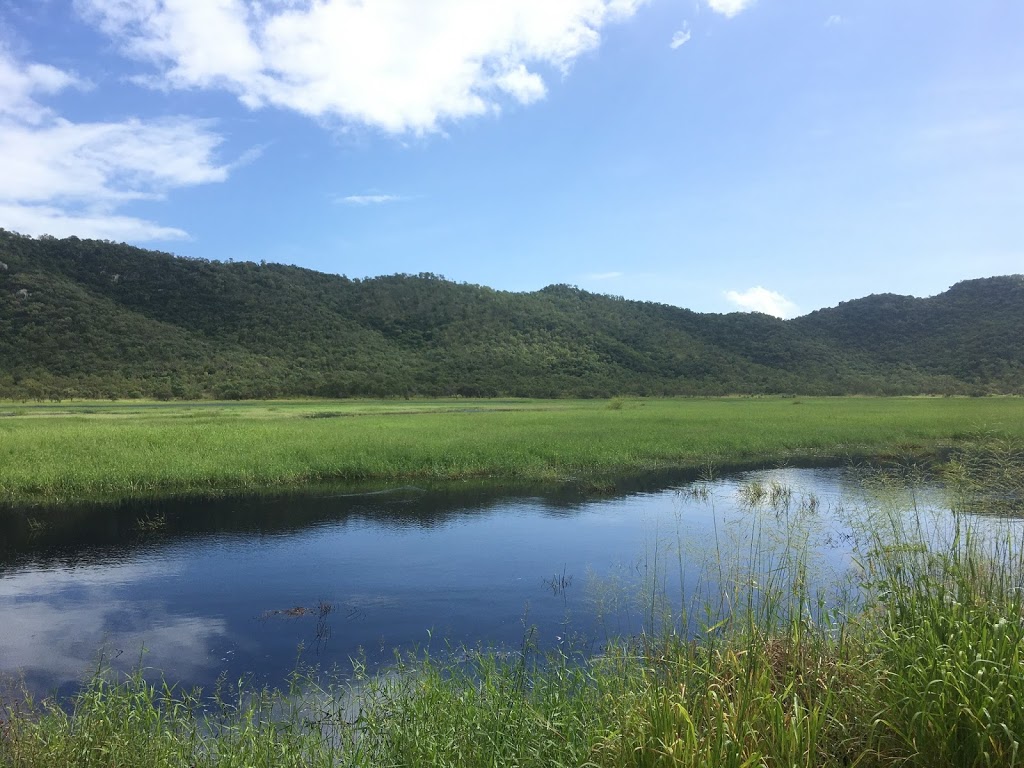 Jacana bird hide | Town Common QLD 4810, Australia