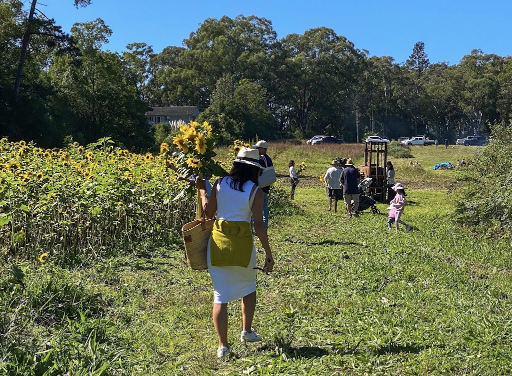 The Bloom Barn Farm | 1154 Peats Ridge Rd, Peats Ridge NSW 2250, Australia | Phone: 0455 246 789