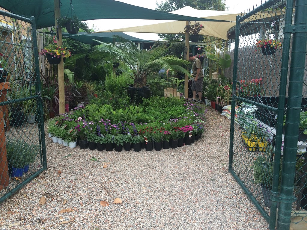 Saplings Nursery | 1132 Grose Vale Rd, Kurrajong NSW 2758, Australia | Phone: 0404 229 191