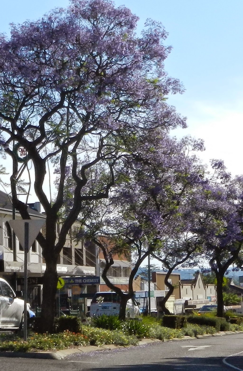 S. Barry Accounting Pty Ltd | 2/33 Elizabeth St, Camden NSW 2570, Australia | Phone: (02) 4655 7873
