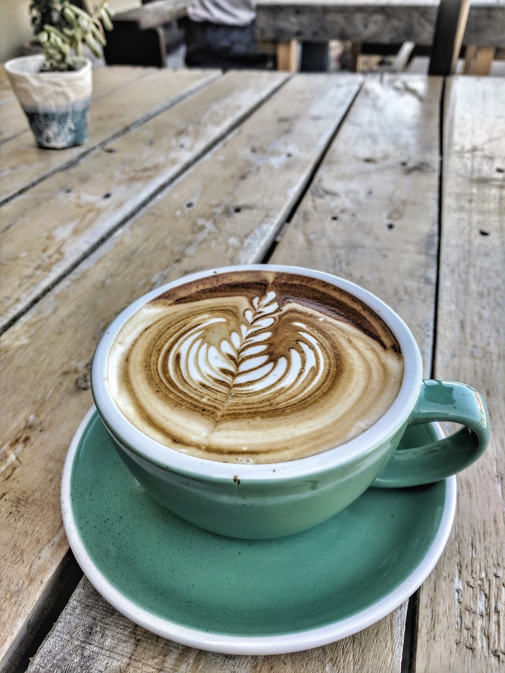 The Branches Coffee Roasters | cafe | 7/9-11 Towers Dr, Mullumbimby NSW 2482, Australia | 0266846167 OR +61 2 6684 6167