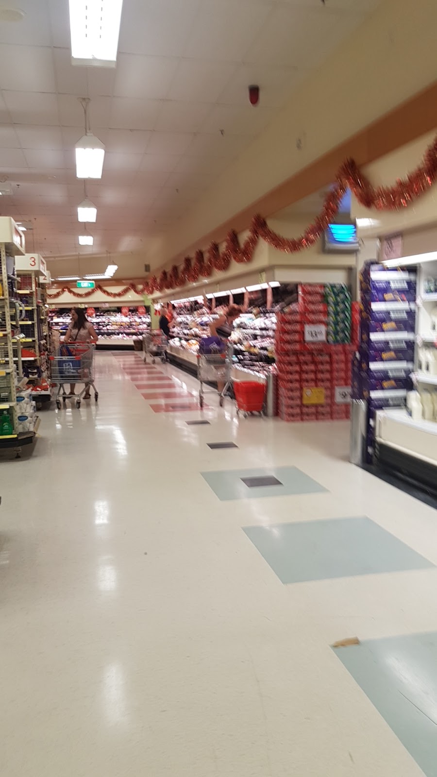 Coles Deniliquin | supermarket | Hardinge St & Wood St, Deniliquin Plaza, Deniliquin NSW 2710, Australia | 0358818001 OR +61 3 5881 8001