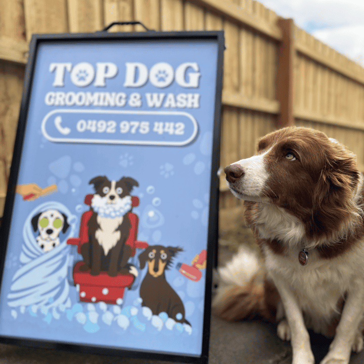 Top Dog Grooming & Wash | 185 Whitehorse Rd, Balwyn VIC 3103, Australia | Phone: 0492 975 442