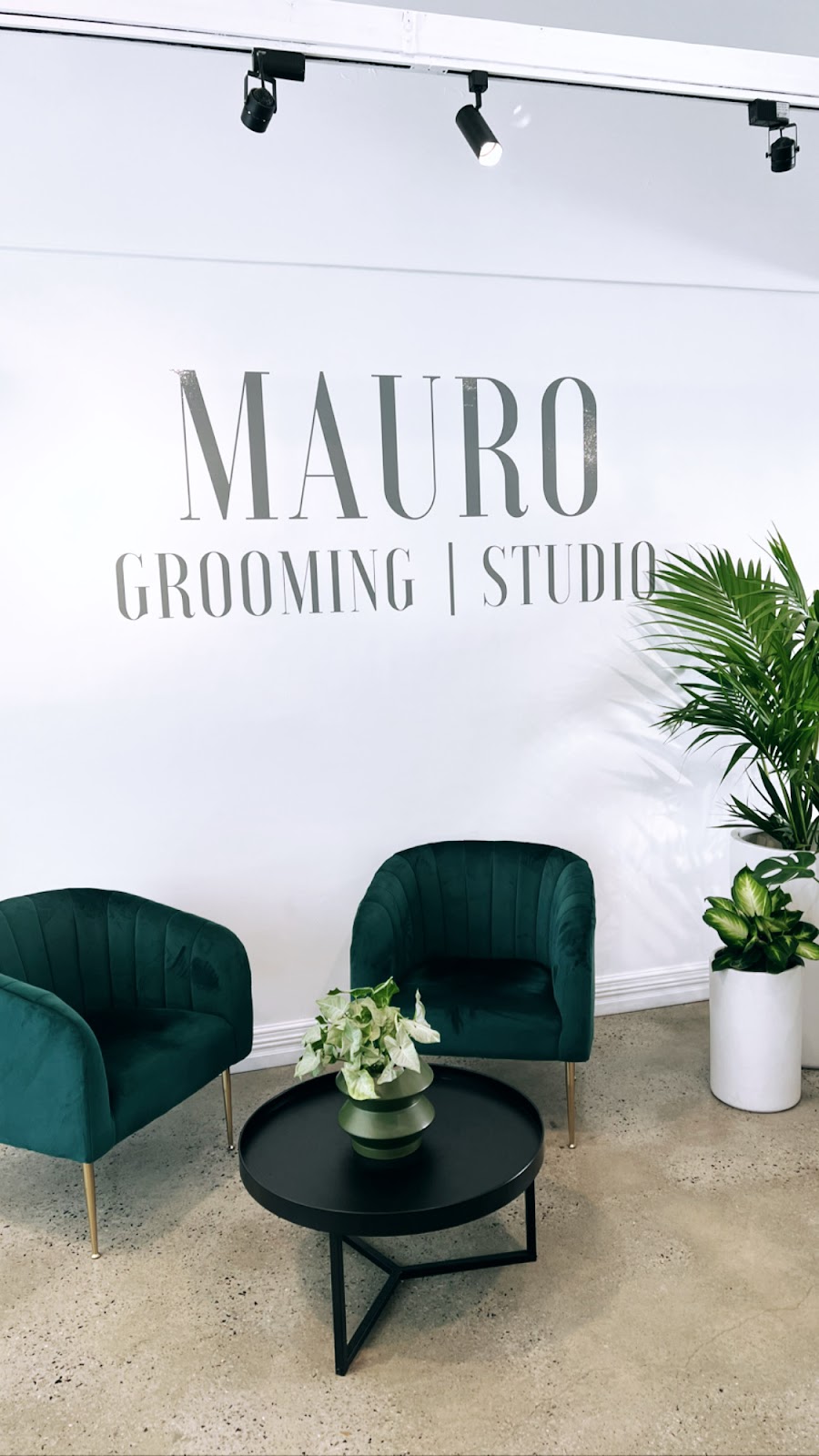 Mauro Grooming Studio | 10/58 Southside Dr, Hillarys WA 6025, Australia | Phone: (08) 6150 8537
