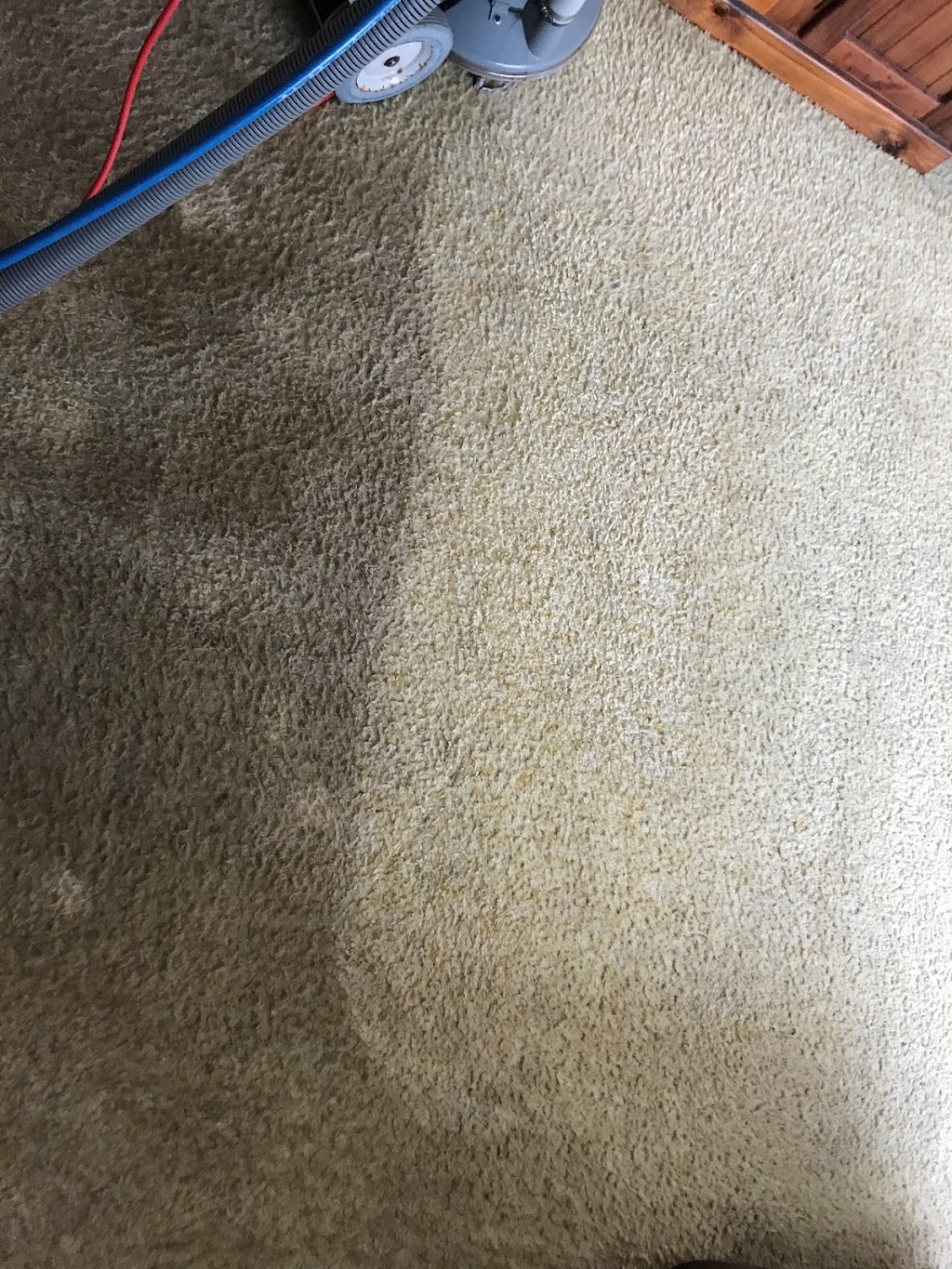 Chem-Dry Cleaner Carpets | 44 Poplar Parade, Youngtown TAS 7249, Australia | Phone: 0439 733 977