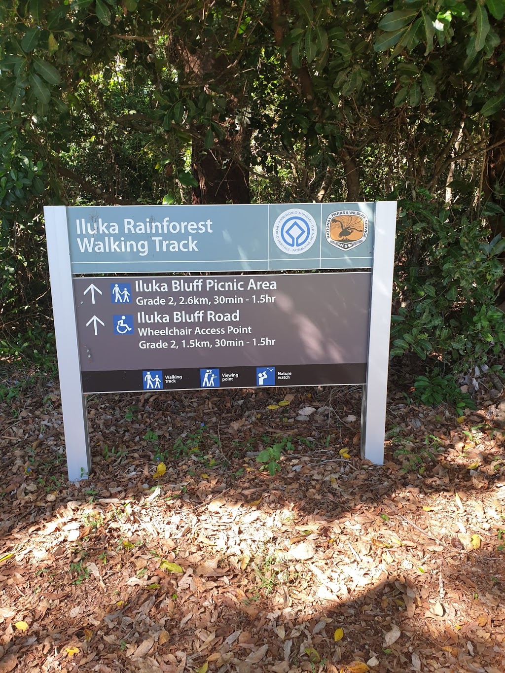 Iluka Rainforest Walk - Southern Entrance | park | 52 Long St, Iluka NSW 2466, Australia