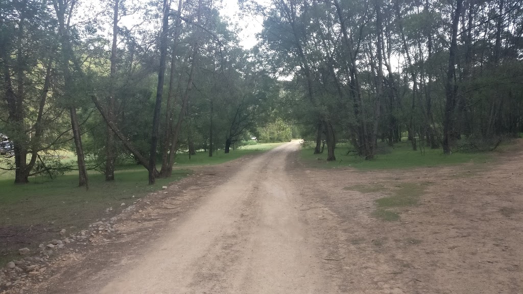 Bendethera Camping Area | campground | Deua National Park, Dampier Mountain Firetrail, Deua NSW 2537, Australia | 0244760800 OR +61 2 4476 0800