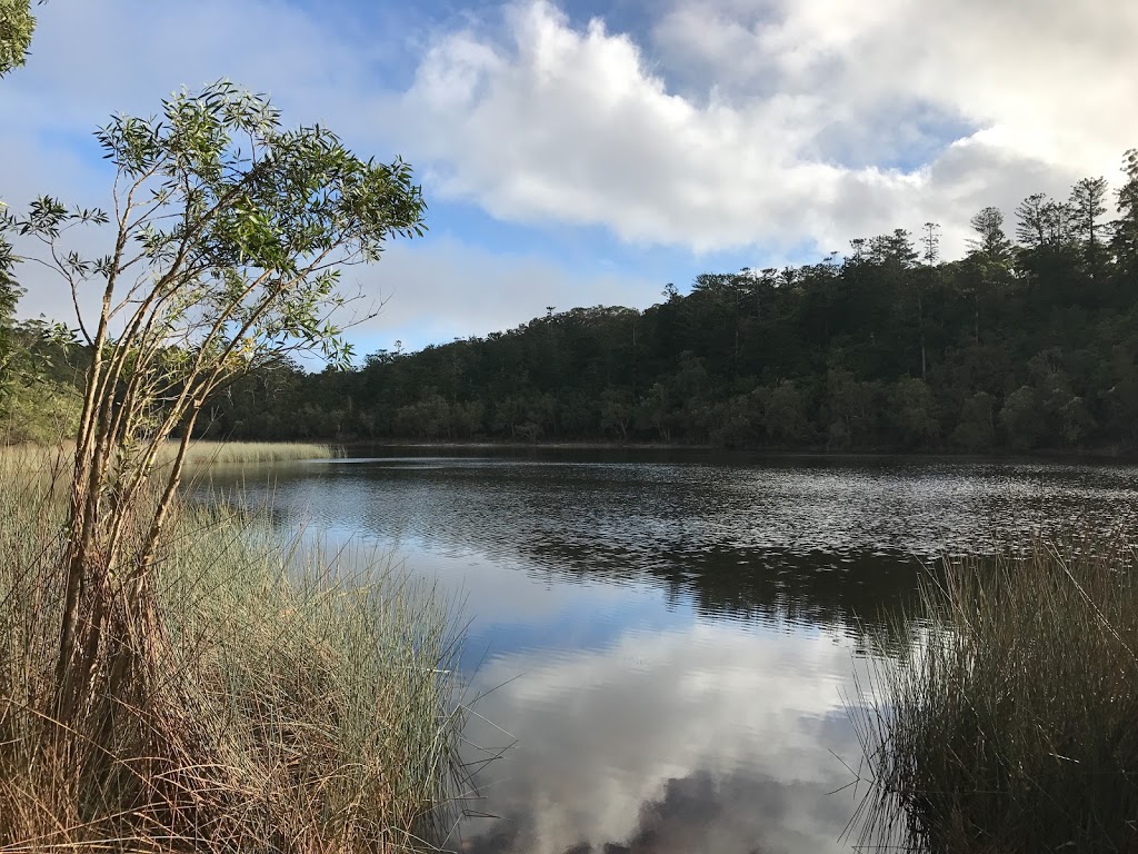 Lake Allom | Fraser Island QLD 4581, Australia