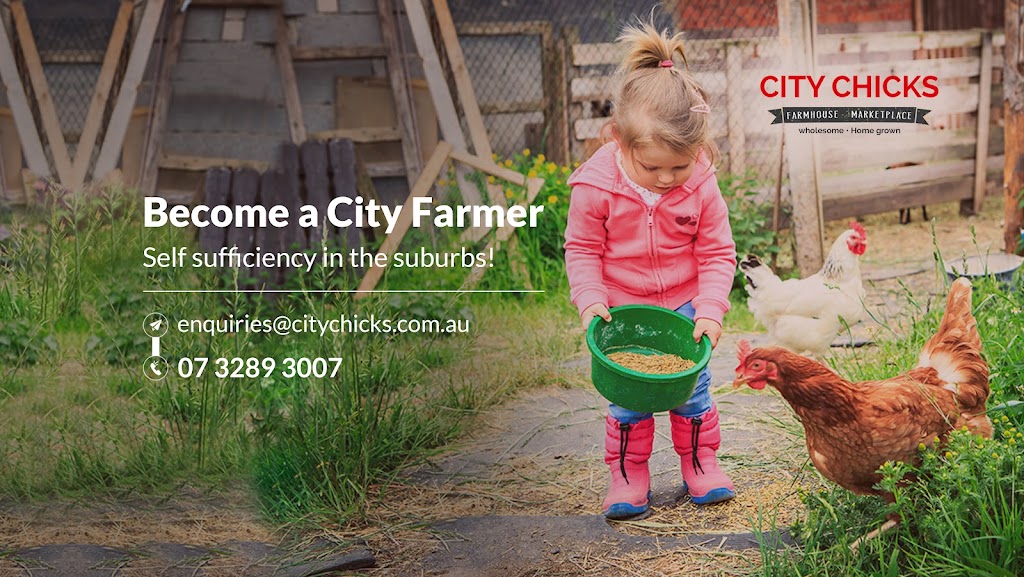 City Chicks Farm & Cafe | 408 Mount Glorious Rd, Samford Valley QLD 4520, Australia | Phone: 0435 226 912