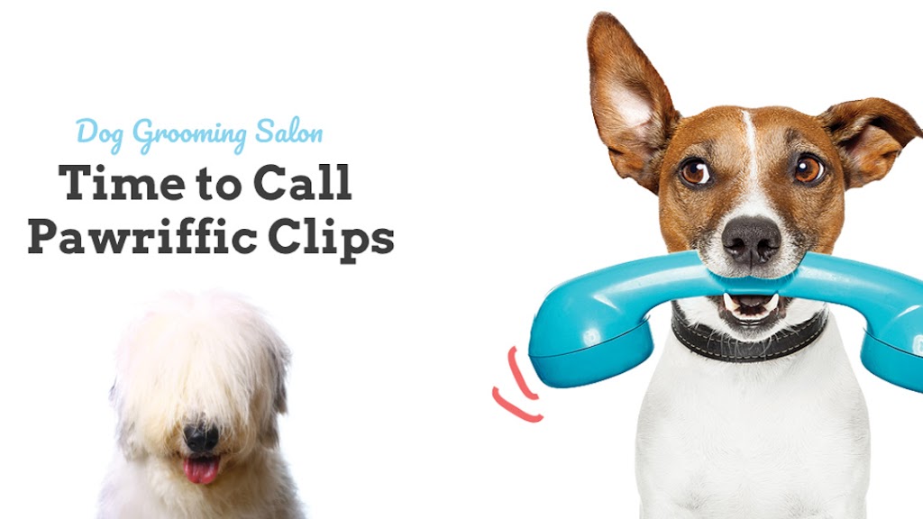 Pawriffic Clips | 7 Stuart Pl, Eight Mile Plains QLD 4113, Australia | Phone: 0417 647 788