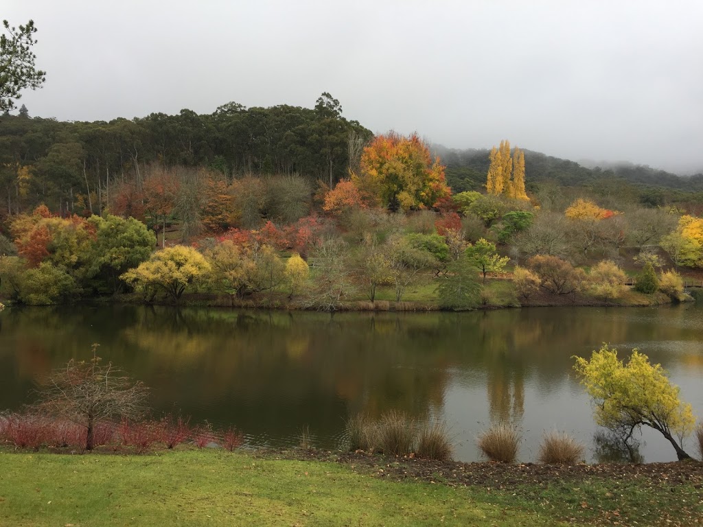 Mount Lofty Botanic Gardens, Lower Car Park | parking | Unnamed Road, Crafers SA 5152, Australia