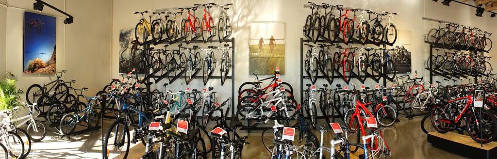 Bike Society | bicycle store | 100A Anzac Hwy, Everard Park SA 5035, Australia | 0882979952 OR +61 8 8297 9952