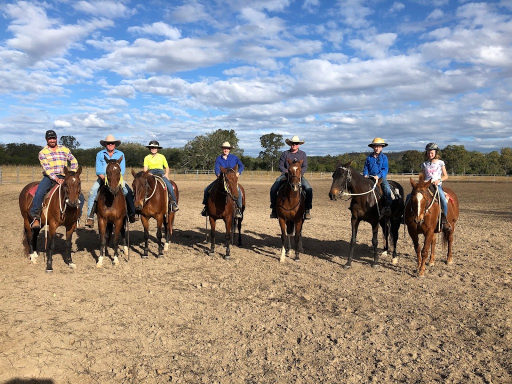 Stock Horses for Sale | 2030 Mount Larcom Bracewell Rd, Bracewell QLD 4695, Australia | Phone: 0437 645 337