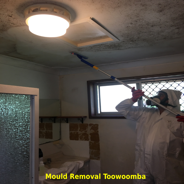 Electrodry Mould Removal Toowoomba |  | 70/57-75 Brook St, Toowoomba City QLD 4350, Australia | 1300132713 OR +61 1300 132 713
