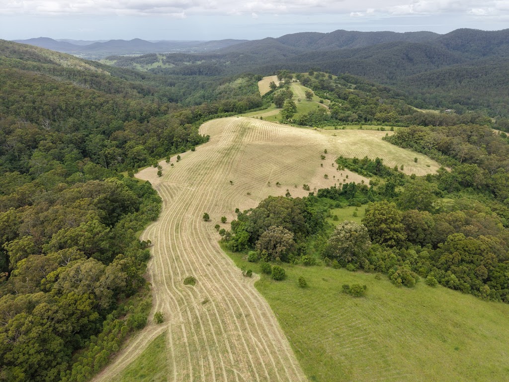 Atkinson Slashing | 12 Little St, Wingham NSW 2429, Australia | Phone: 0493 597 629