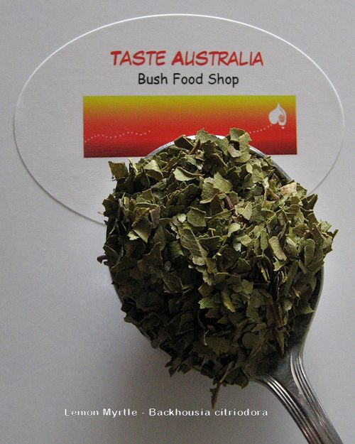 Taste Australia Bush Food Shop | store | Lady Penrhyn Ct, Mundoolun QLD 4285, Australia | 0428892217 OR +61 428 892 217