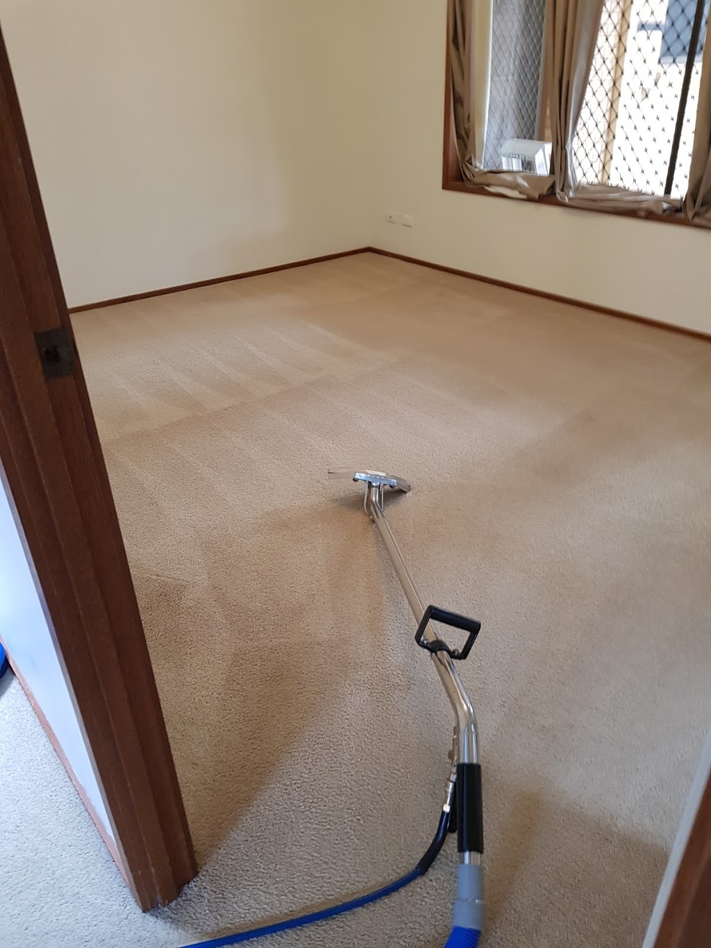 Border Carpet & Window Cleaning | laundry | Sunart St, Maclean NSW 2463, Australia | 0400269199 OR +61 400 269 199