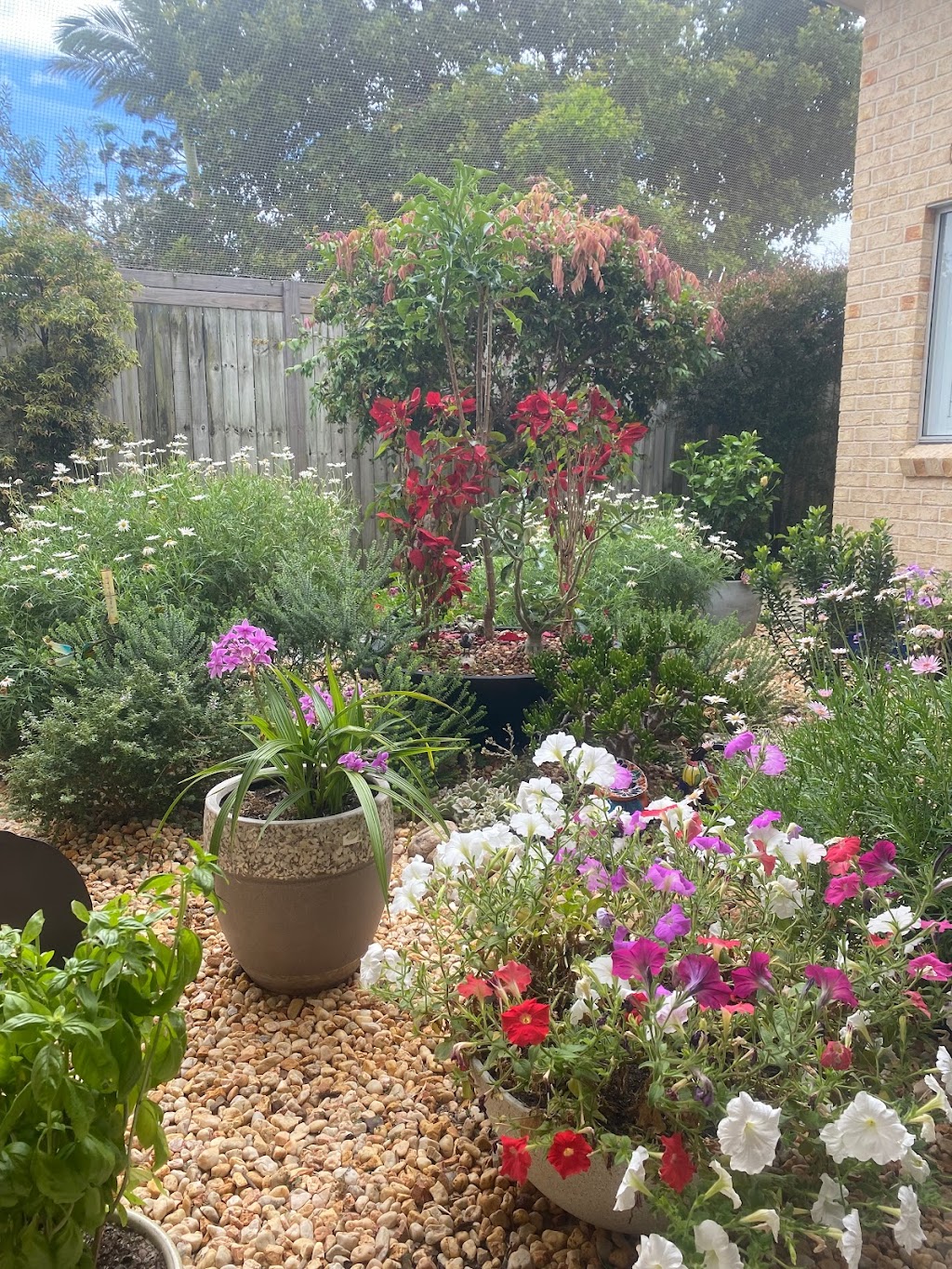 Fine Garden Care | Coolgarra Ave, Bongaree QLD 4507, Australia | Phone: 0499 197 107