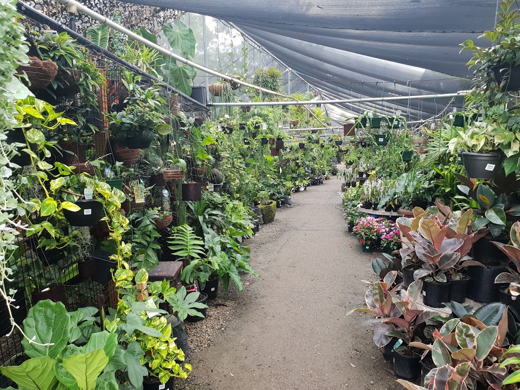 Oxley Nursery | 174 Dowding St, Oxley QLD 4075, Australia | Phone: (07) 3375 5390