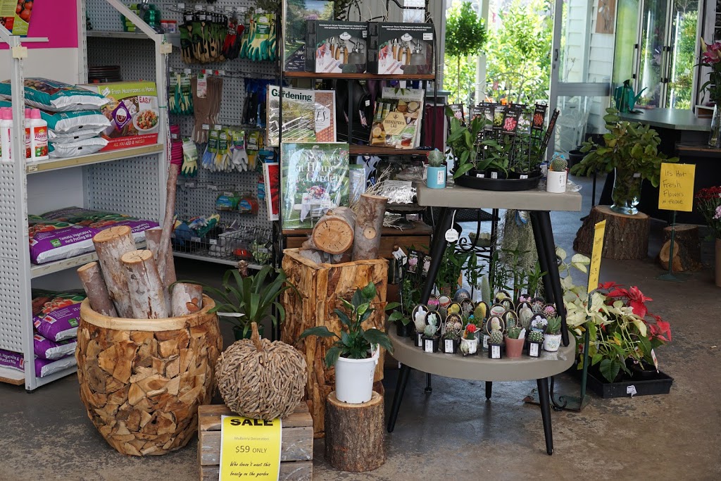 Blackspur Plant Nursery | 349/351 Maroondah Hwy, Healesville VIC 3777, Australia | Phone: (03) 5962 4746