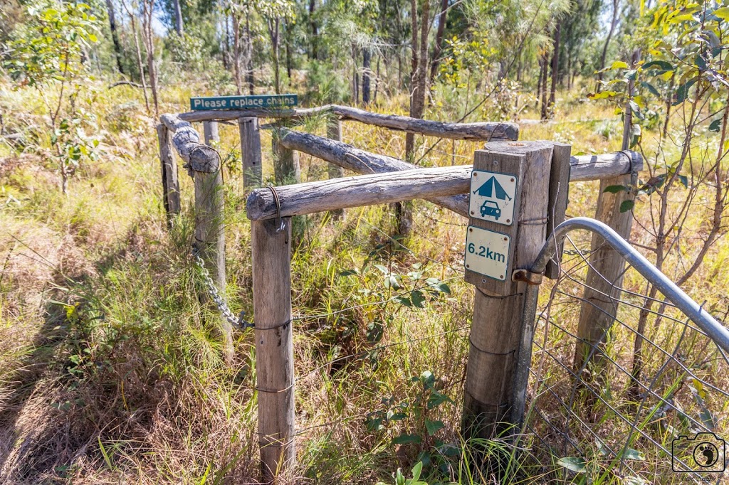 Wet Tropics Great Walk (Blencoe Falls Section) | Cashmere Kirrama Rd, Kirrama QLD 4872, Australia