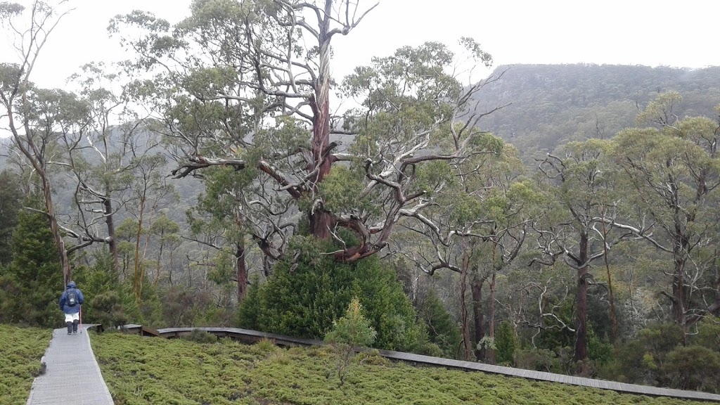 Cradle Mountain Rangers Office | 4057 Cradle Mountain Rd, Cradle Mountain TAS 7306, Australia | Phone: (03) 6492 1110