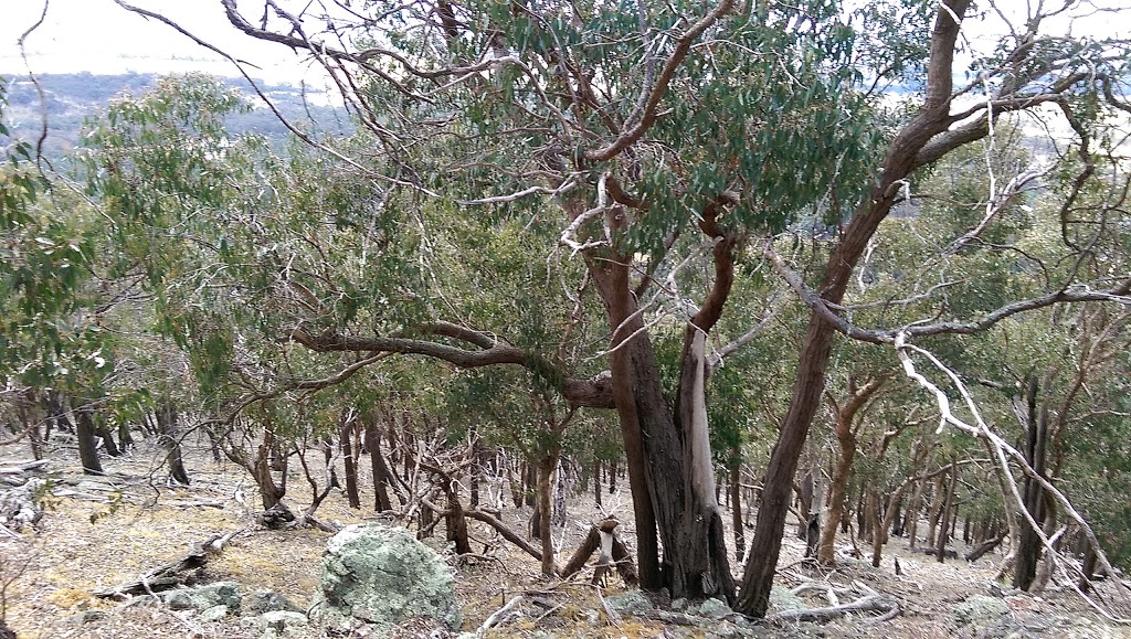 Mount Piper Conservation Reserve | park | LOT 71, LOT 71 Mount Piper Ln, Broadford VIC 3658, Australia