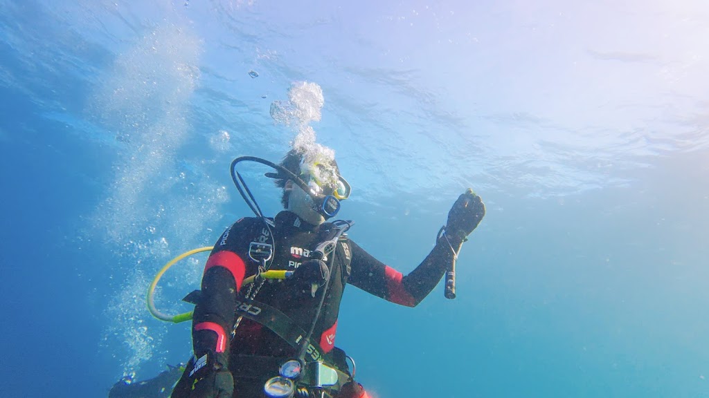 Dive Swansea Newcastle | 2/2 Belmont St, Swansea NSW 2281, Australia | Phone: (02) 4972 0940