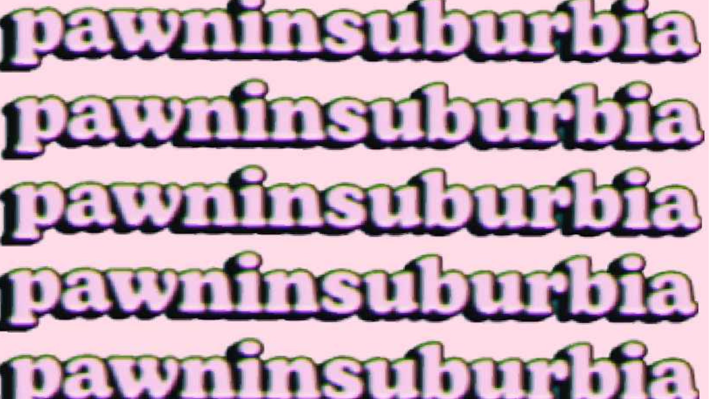 pawninsuburbia secondhand & handmade | Earls Ct, Balwyn North VIC 3104, Australia | Phone: 0448 297 290