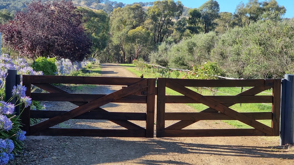 Evolve with Horse Coaching | 251 Old Hume Hwy, Glenrowan VIC 3675, Australia | Phone: 0419 513 788
