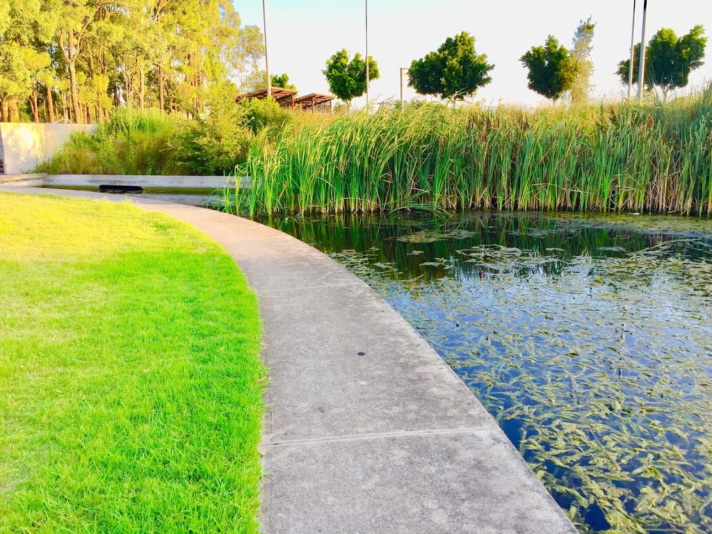 Limber Green, Peel Reserve, The Ponds | park | Lilypad Ave, The Ponds NSW 2769, Australia | 0298396000 OR +61 2 9839 6000