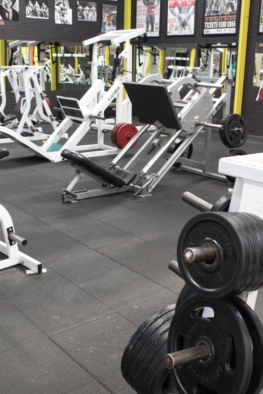 Dohertys Gym Brunswick | 45-49 Weston St, Brunswick VIC 3056, Australia | Phone: (03) 9388 0866