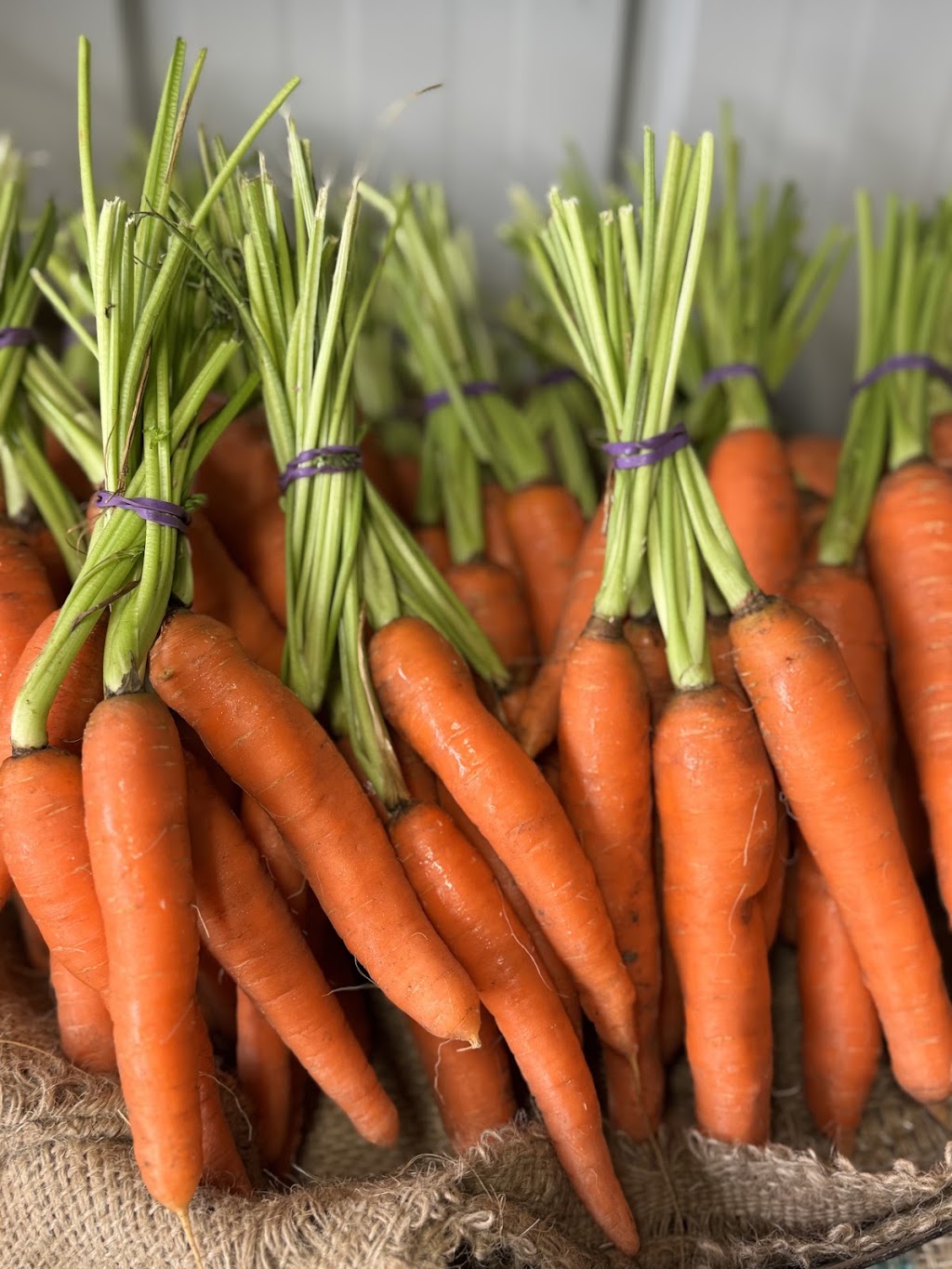 D and A Farm Fresh | 245 Eramosa Rd W, Moorooduc VIC 3933, Australia | Phone: 0401 569 837
