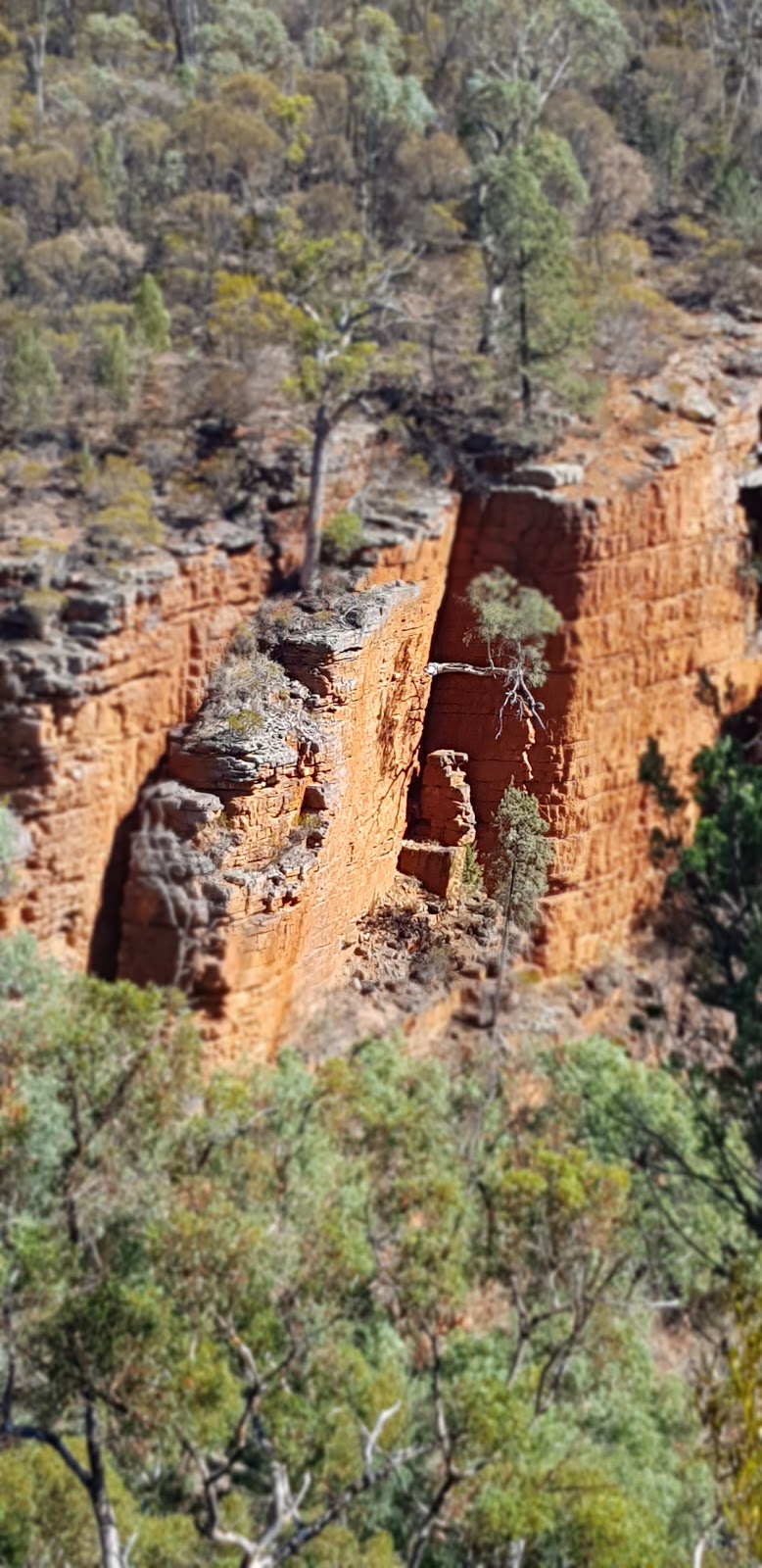 Alligator Gorge | park | Wilmington SA 5485, Australia