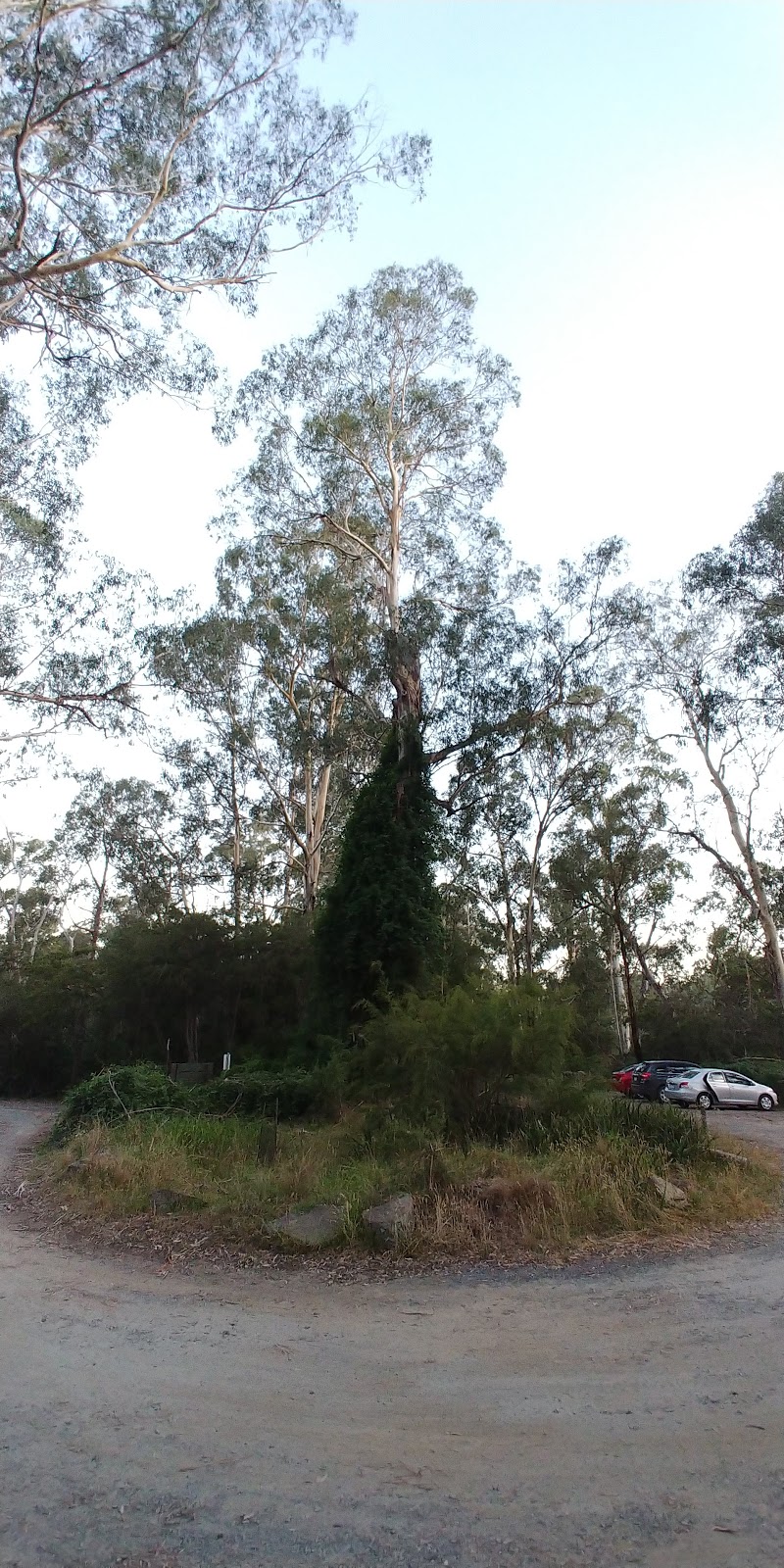 Normans Reserve | park | 118 Bradleys Ln, North Warrandyte VIC 3113, Australia