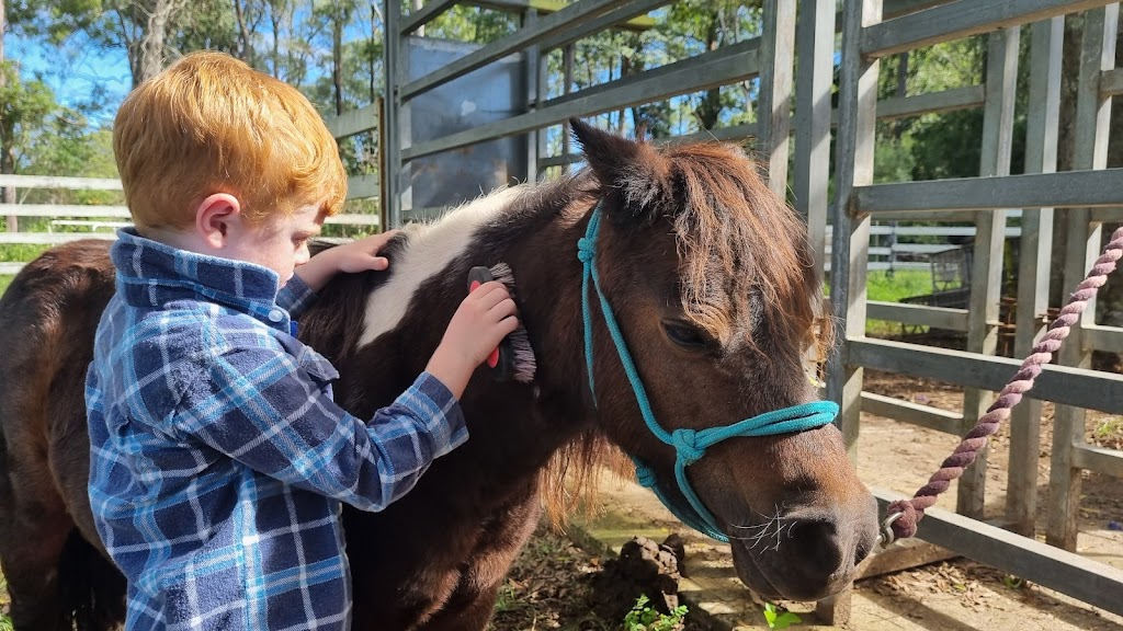 Black Horse Equine Assisted Learning | Bairnsdale School Rd, Yorklea NSW 2470, Australia | Phone: 0419 093 445