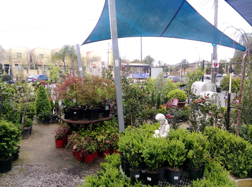 Bayside Gardenworld | store | 419/425 St Kilda St, Elwood VIC 3184, Australia | 0395312666 OR +61 3 9531 2666