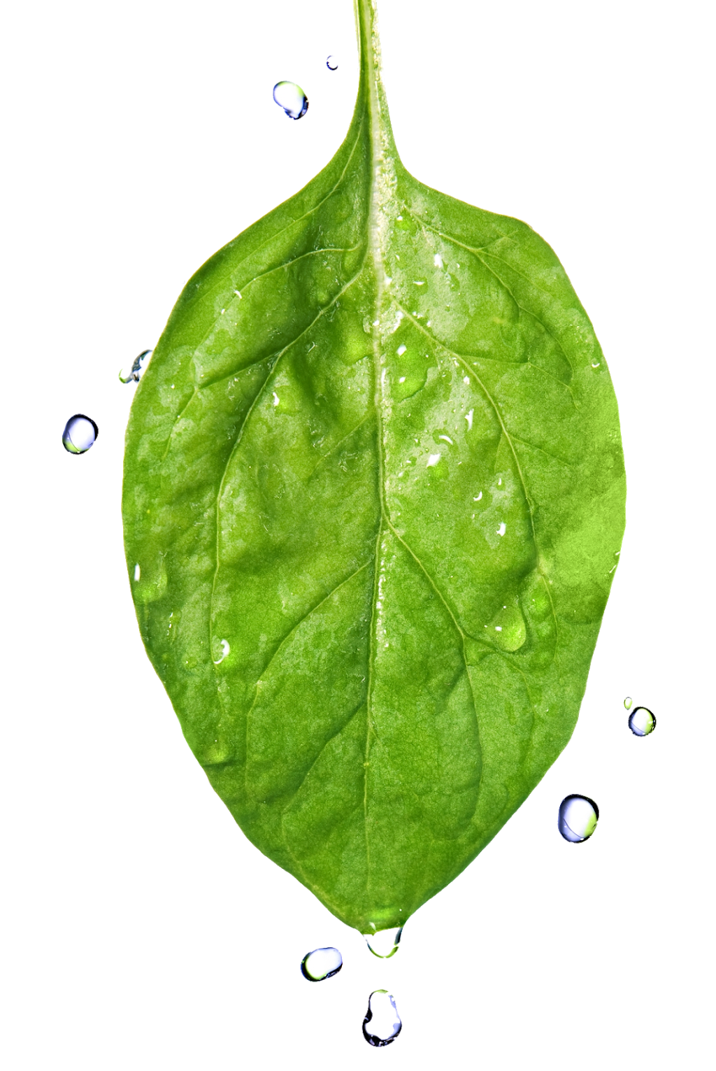 MK Natural Health | Suite 2/737 Logan Rd, Greenslopes QLD 4120, Australia | Phone: (07) 3161 6579