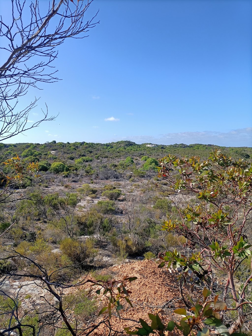 False Entrance campground | Useless Loop Rd, Carrarang WA 6537, Australia | Phone: (08) 9948 2226