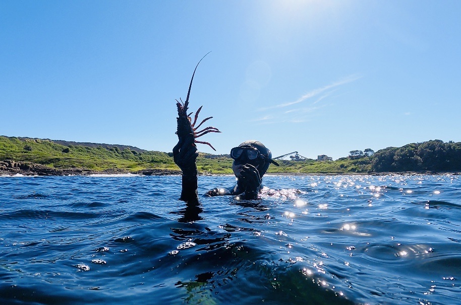 Lynn freediving club 潜水俱乐部 | 25 Glenbrook St, The Ponds NSW 2769, Australia | Phone: 0413 635 644