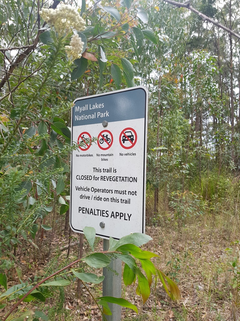 Myall River | park | New South Wales, Australia