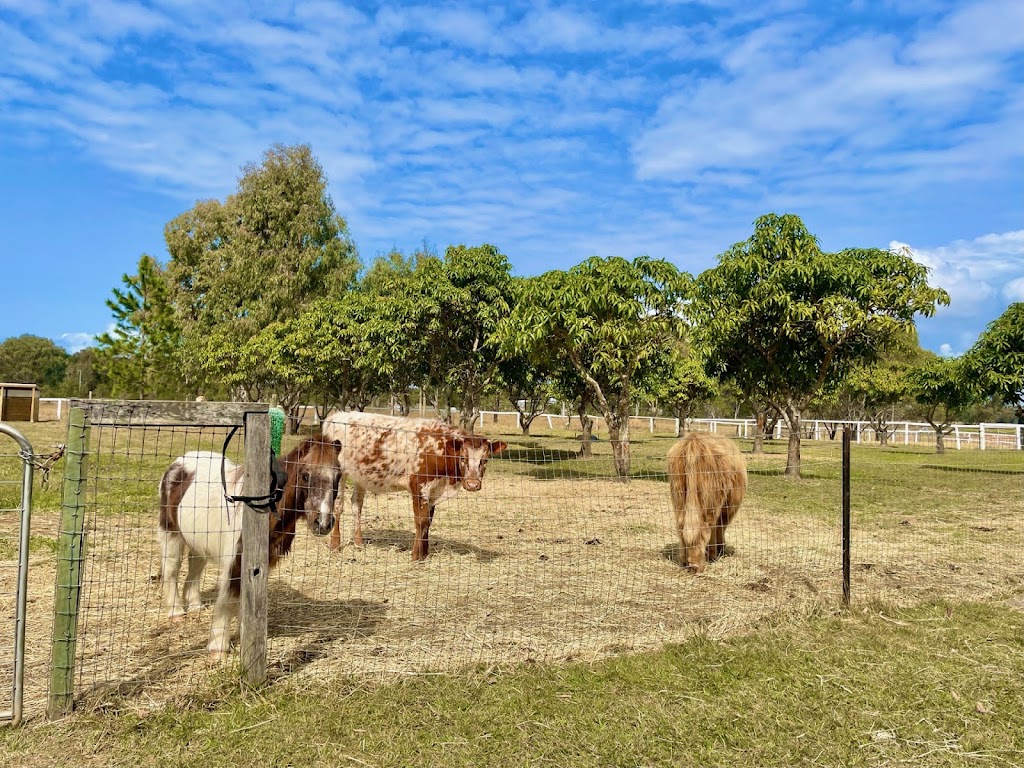 Teembin Pines | 180 Beachmere Rd, Caboolture QLD 4510, Australia | Phone: 0420 822 945